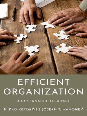 cover image of Efficient Organization